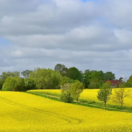 Im Gutshaus Schulenbrook Metelsdorf
